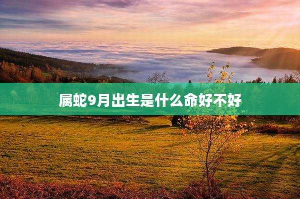 属蛇9月出生是什么命好不好