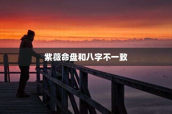 紫薇命盘和八字不一致