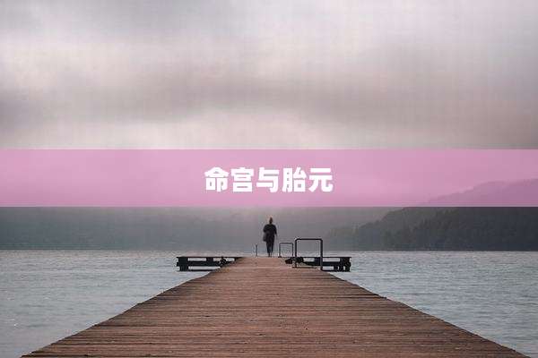 命宫与胎元