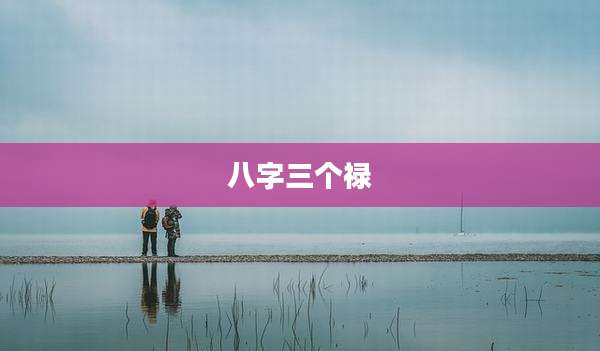 八字三个禄