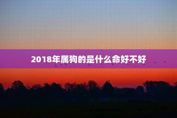 2018年属狗的是什么命好不好