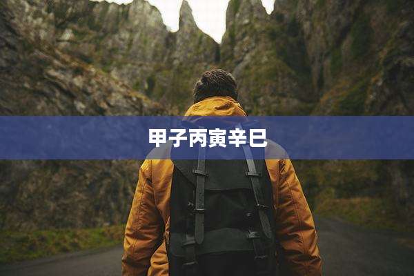 甲子丙寅辛巳