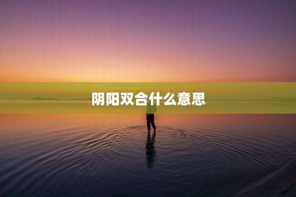 阴阳双合什么意思
