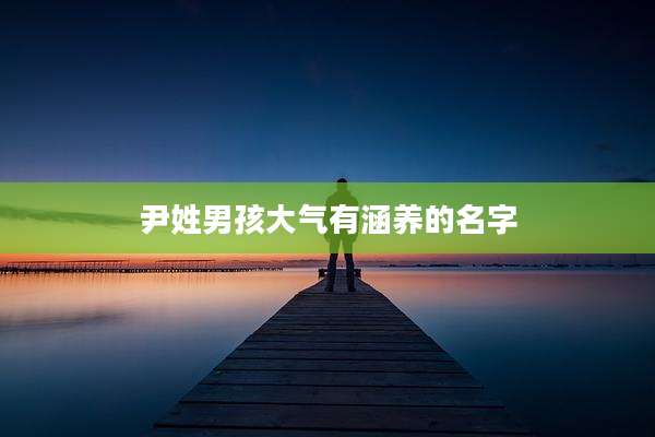 尹姓男孩大气有涵养的名字
