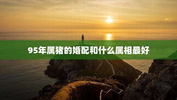 95年属猪的婚配和什么属相最好