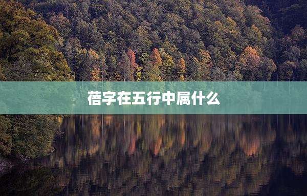 蓓字在五行中属什么