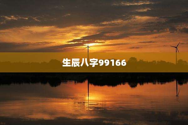 生辰八字99166