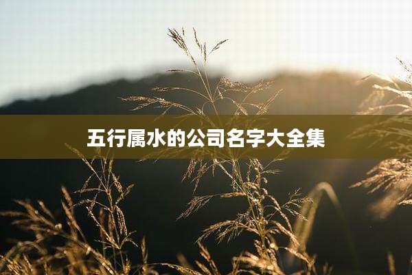 五行属水的公司名字大全集