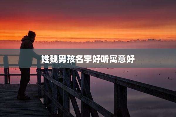 姓魏男孩名字好听寓意好