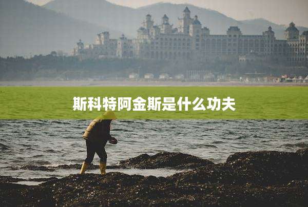 斯科特阿金斯是什么功夫