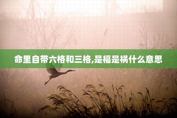 命里自带六格和三格,是福是祸什么意思