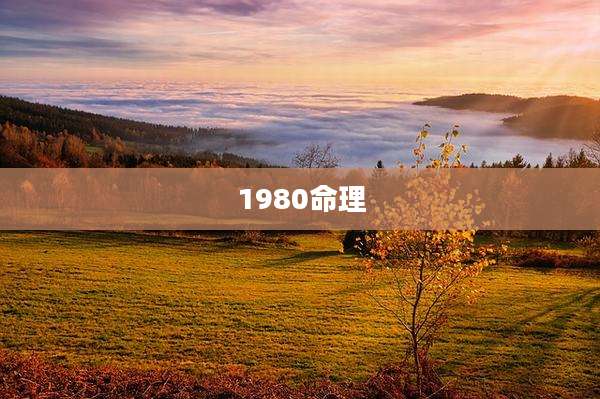 1980命理