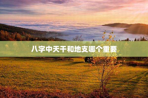 八字中天干和地支哪个重要