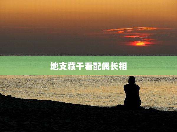 地支藏干看配偶长相