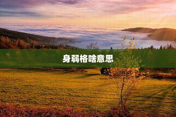 身弱格啥意思
