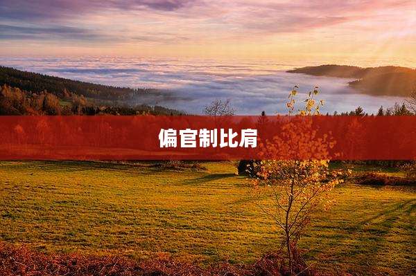 偏官制比肩