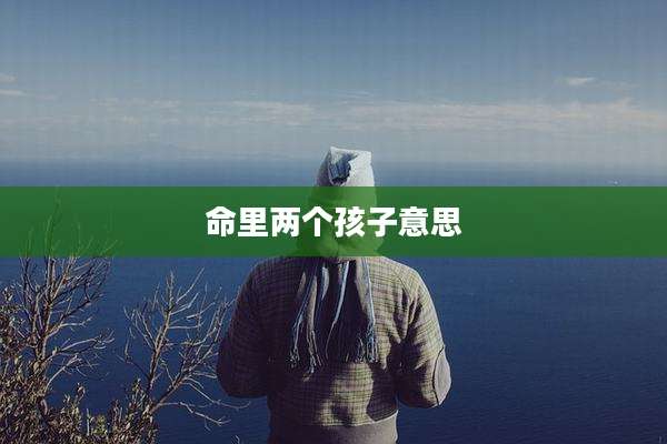 命里两个孩子意思
