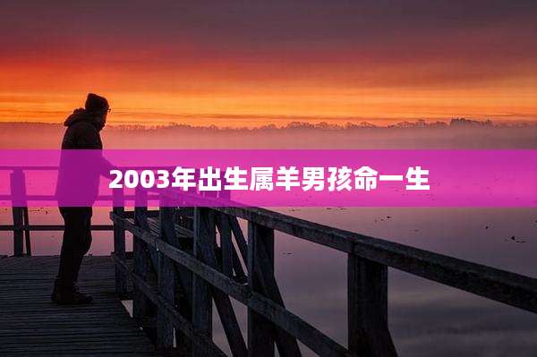 2003年出生属羊男孩命一生