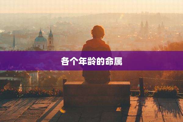 各个年龄的命属