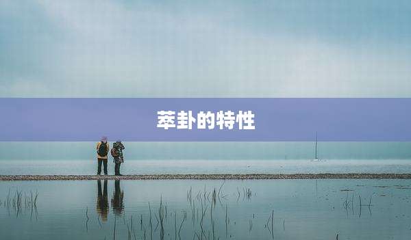 萃卦的特性