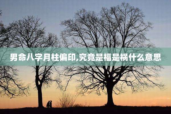 男命八字月柱偏印,究竟是福是祸什么意思