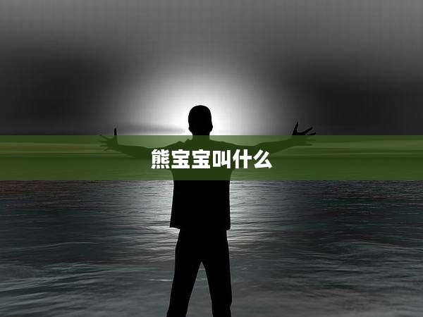 熊宝宝叫什么