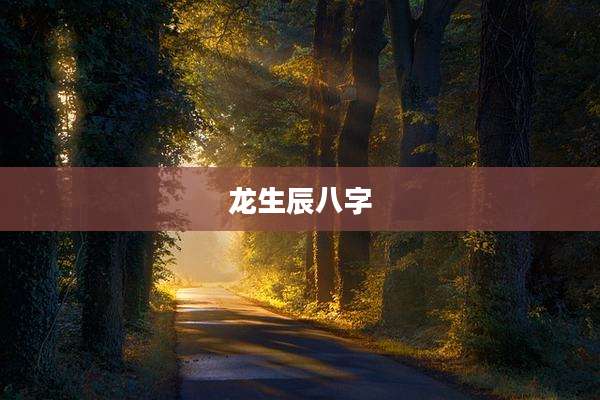龙生辰八字