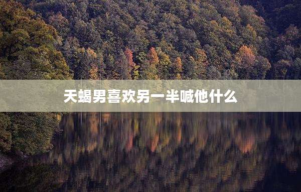 天蝎男喜欢另一半喊他什么