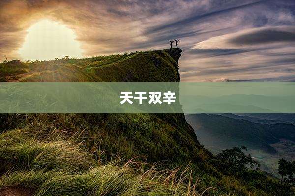 天干双辛