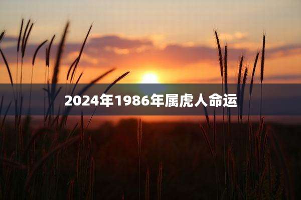 2024年1986年属虎人命运