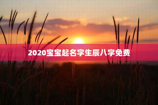 2020宝宝起名字生辰八字免费