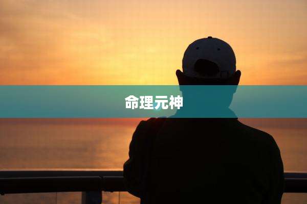 命理元神