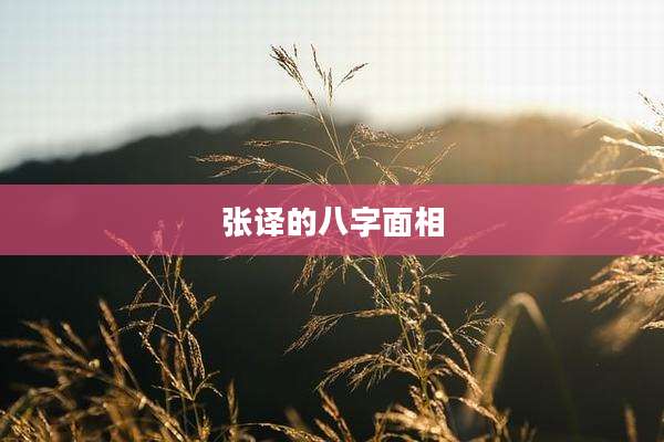 张译的八字面相