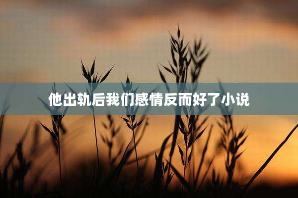 他出轨后我们感情反而好了小说