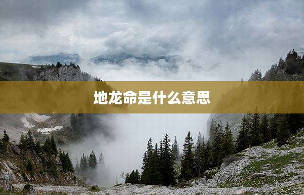 地龙命是什么意思
