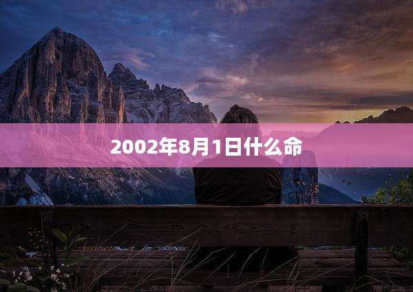 2002年8月1日什么命