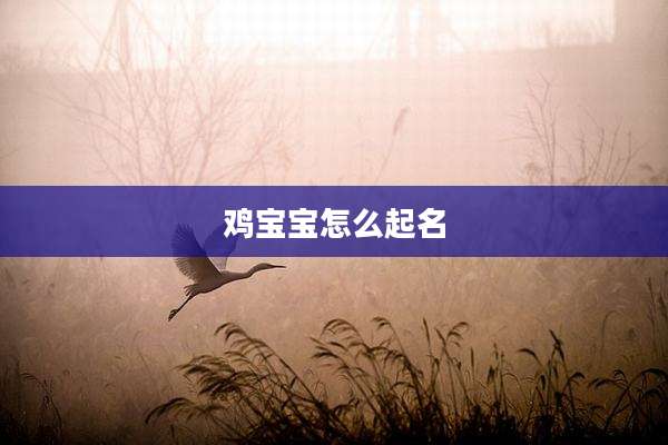 鸡宝宝怎么起名