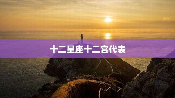 十二星座十二宫代表