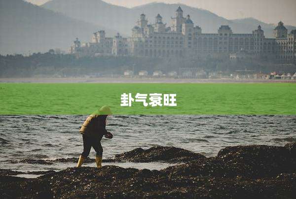 卦气衰旺