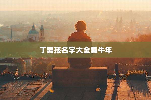丁男孩名字大全集牛年