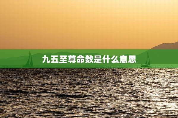九五至尊命数是什么意思