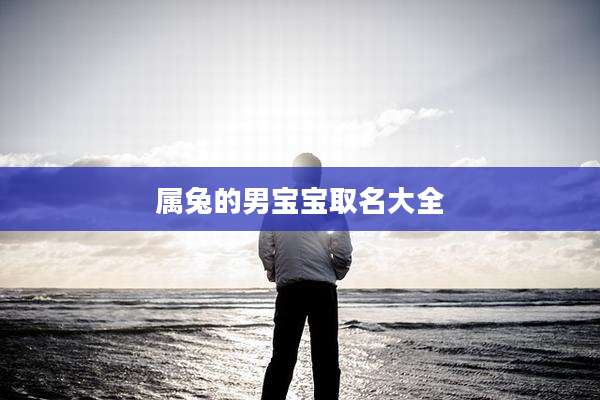 属兔的男宝宝取名大全