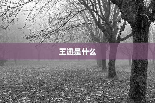王迅是什么