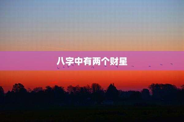 八字中有两个财星