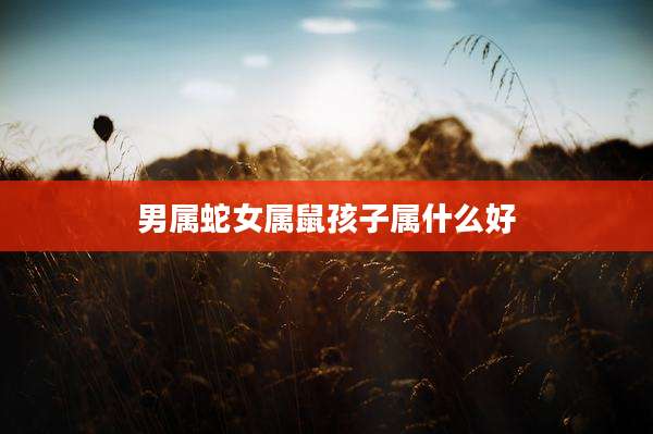 男属蛇女属鼠孩子属什么好