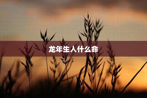 龙年生人什么命