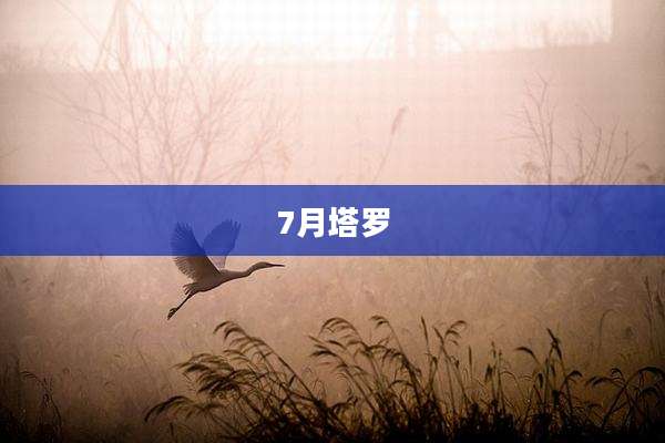 7月塔罗
