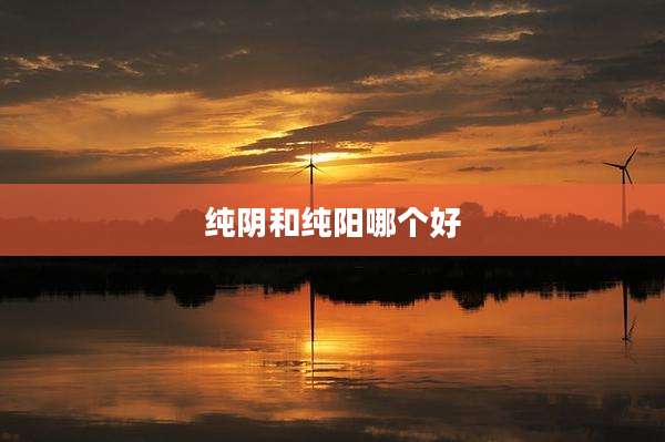 纯阴和纯阳哪个好