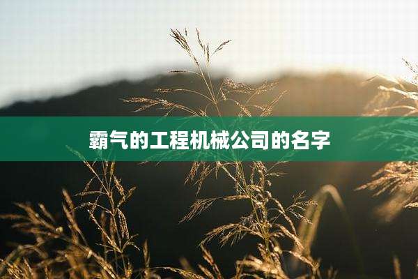 霸气的工程机械公司的名字