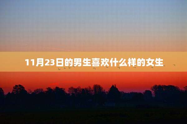 11月23日的男生喜欢什么样的女生